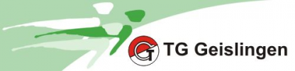 Logo 17. DEE-Citylauf Geislingen 2018